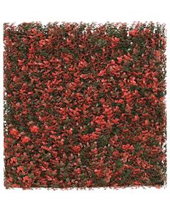 E&K 15Pcs 20" x 20" Artificial Grass Wall Panels, Faux Boxwood Greenery Backdrop Decor, UV Protected Privacy Hedge Screen for Indoor Outdoor (Buxus - Red)